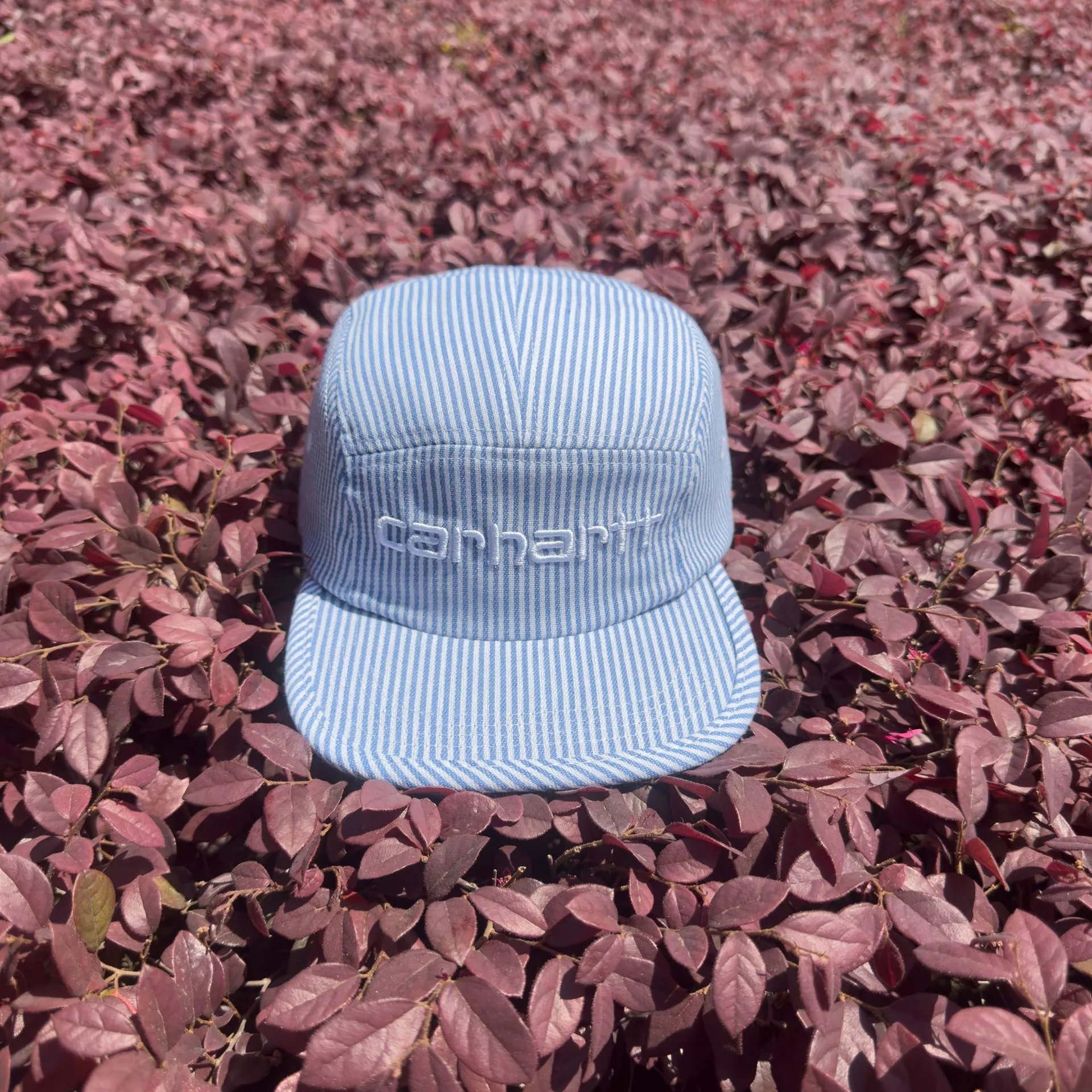 Carhartt--白色刺绣蓝色