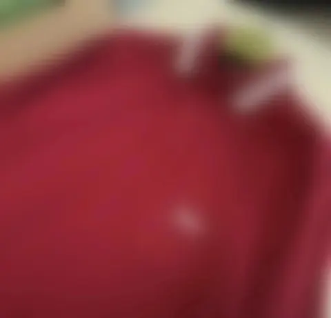 G刺绣字母POLO衫酒红色