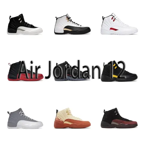 Air Jordan 12 Collection