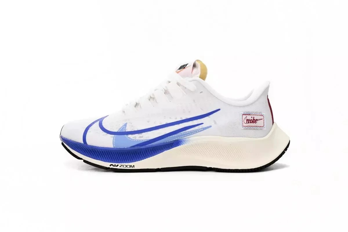 Blue Ribbon Sports White CQ9908-100