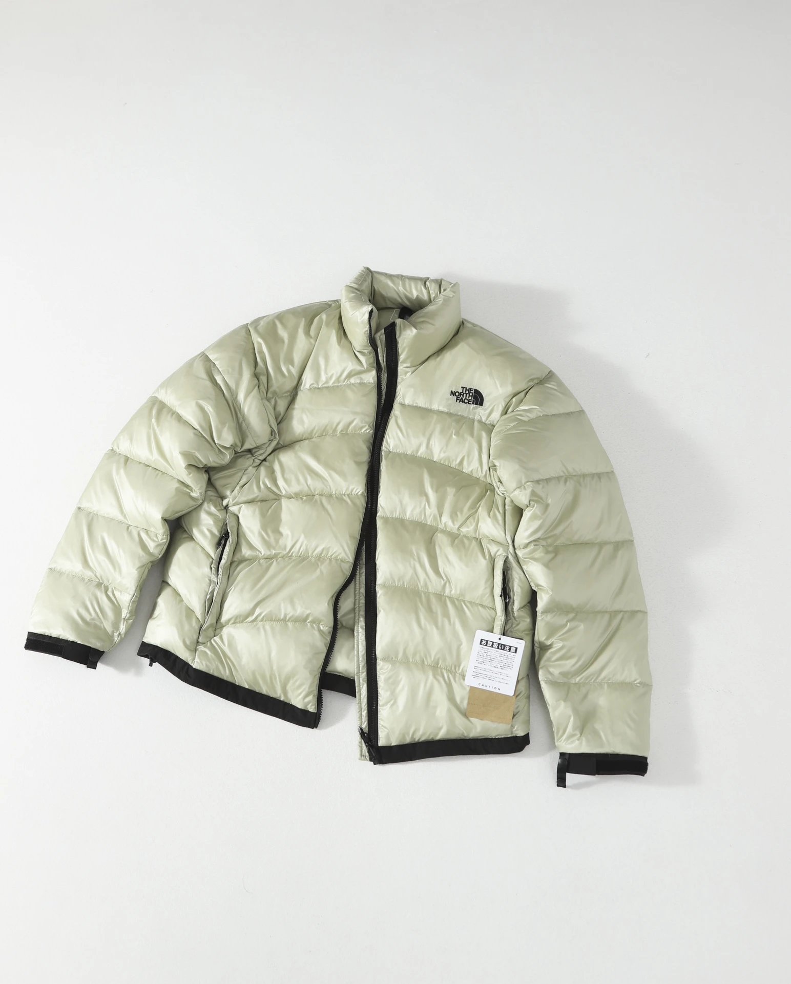 浅绿色 light green