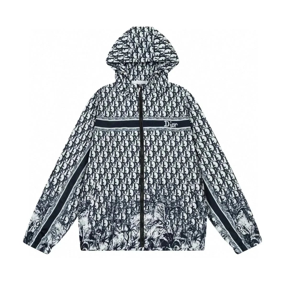 Dior 1