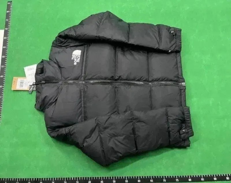 TNF01