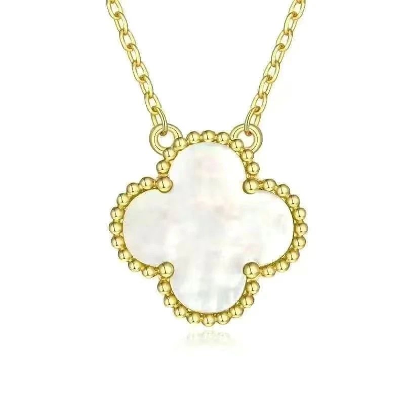中号-黄金百贝母