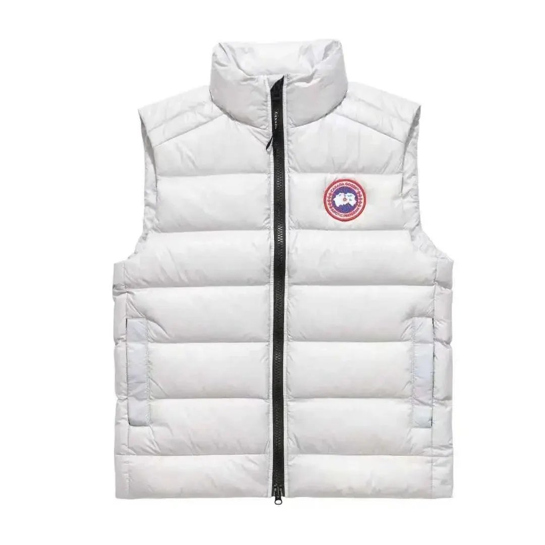 Vest-6