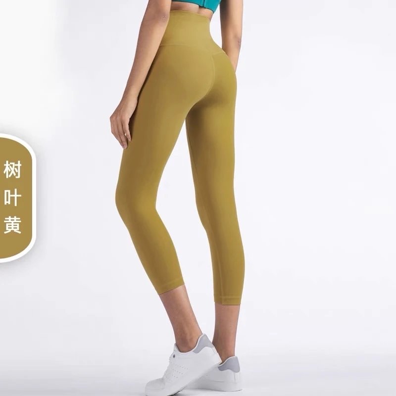 树叶黄