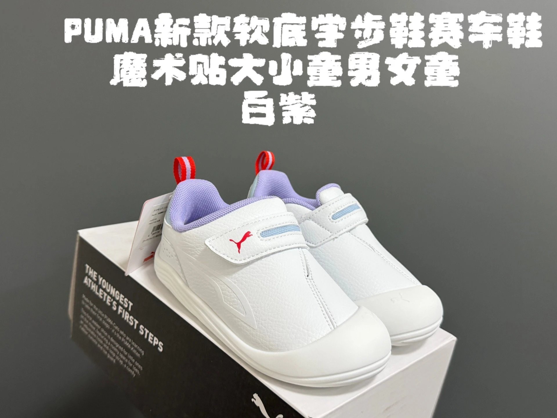 白紫